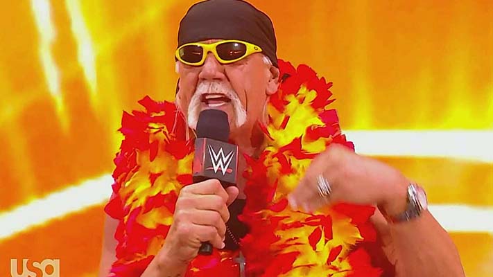 Hogan Reveals Turning Down A Bunch Of Movie And TV Offers