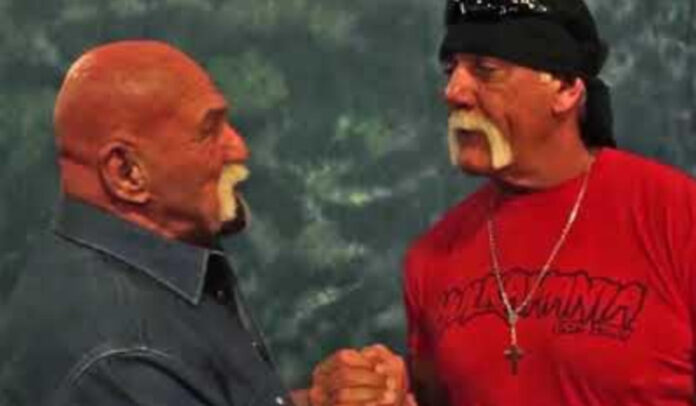 01-superstar-billy-graham-hulk-hogan-01 (1)
