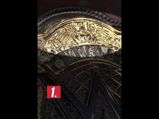 01-wwe-world-heavyweight-championship-tributes
