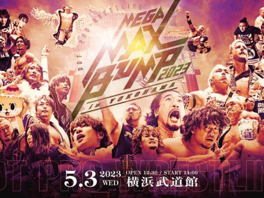 DDTPromegamax