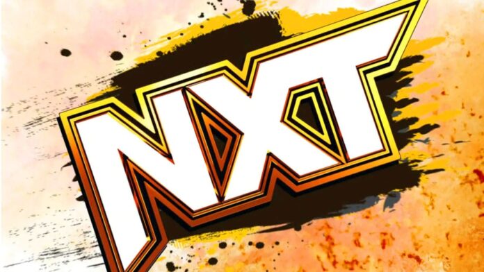 New Match Announced For Tonight’s Episode Of WWE NXT - PWMania ...