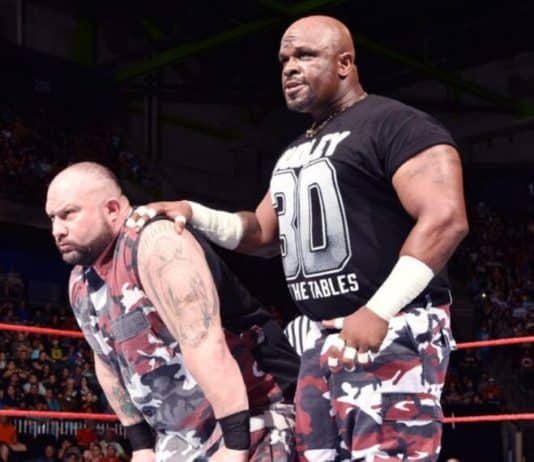 The Dudley Boys