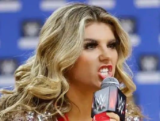 Former Bodybuilder Melanie Brzezenski Released By WWE