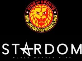 NJPW Fully Acquires Ownership Of Bushiroad Fight/STARDOM