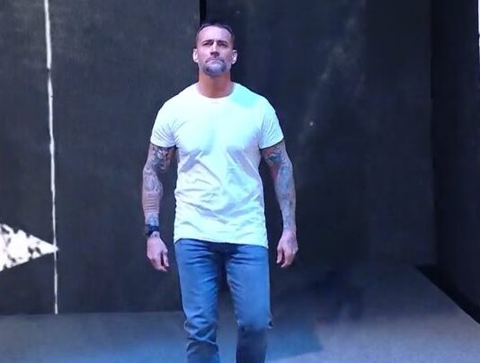 Former WWE Star Discusses CM Punk Deciding To Fight In UFC