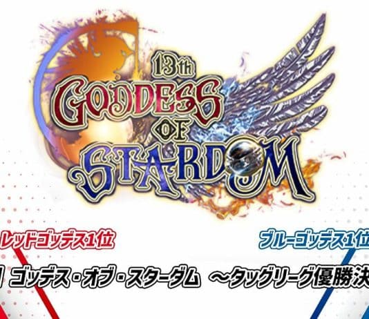 Stardom Goddess Of Stardom Tag League Night 10 Results – November 12, 2023