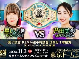 Ice Ribbon New Ice Ribbon #1311 In Tokyo Dome City Results – November 3, 2023