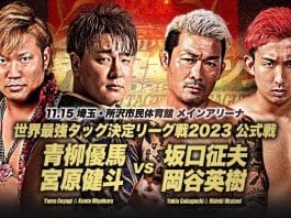 AJPW Real World Tag League/Junior Battle Of Glory Night 2 Results – November 15, 2023