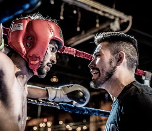 A Beginner’s Guide To The World Of MMA