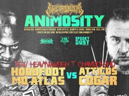RPW Animosity Results – March 2, 2024