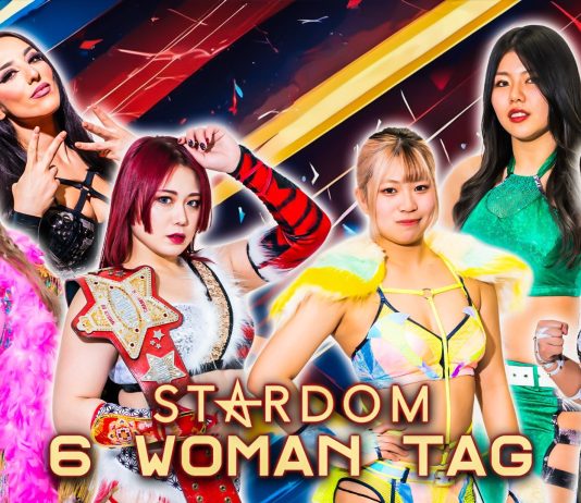 Stardom In Joetsu Results – March 3, 2024