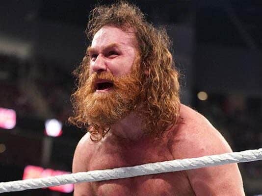 WWE Personality Says Sami Zayn Was Upset With Internet Reaction To His RAW Gauntlet Win