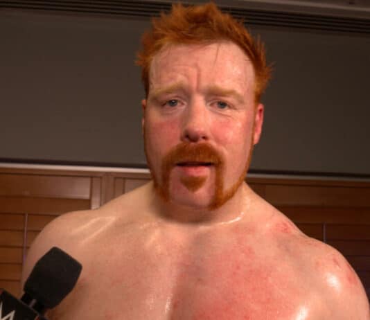 Sheamus in WWE