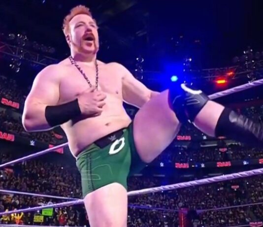Sheamus Removes WWE References From Social Media Amid Reported Exit Sheamus in WWE