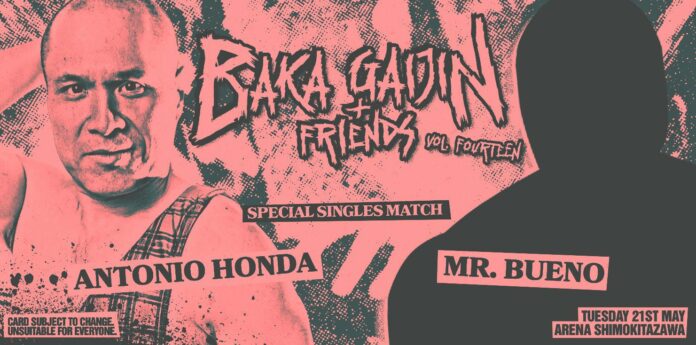 Baka Vol 14