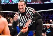 CM Punk Addresses His Recovery From Injury Following WWE Clash At The Castle Appearance