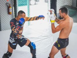 MMA Underdog Betting Strategy: When to Bet Against the Favorite