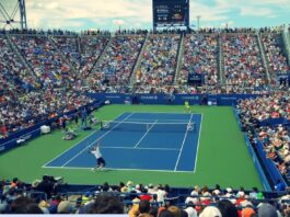 The Global Popularity of Australian Sports and Athletes