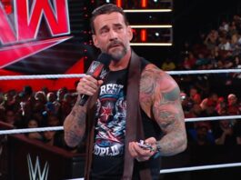 CM Punk in WWE