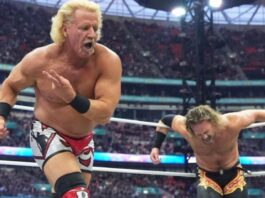 WWE Hall Of Famer Believes A Jeff Jarrett Feud Will Be Good For Hangman Page