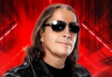Bret Hart graphic