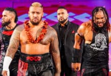 New Bloodline Members May Be Headed To WWE