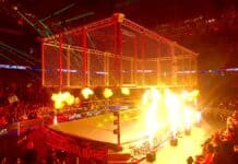 Two WWE Stars Extend Impressive Survivor Series: WarGames Winning Streak