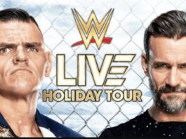 Video: What Went Down In CM Punk vs. GUNTHER Cage Match At WWE Chicago Show