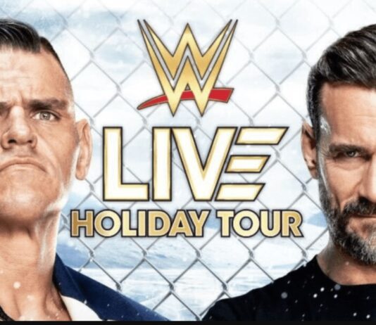 Video: What Went Down In CM Punk vs. GUNTHER Cage Match At WWE Chicago Show