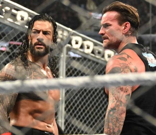 Roman Reigns and CM Punk