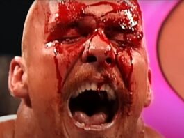 WWE Touts First-Ever “Immortal Moment Award” For 2025 Hall Of Fame Ceremony