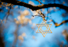 Halachic Views on Gambling: Lotteries, Poker & Betting The star of David with Blossoms on a fruit tree in spring.