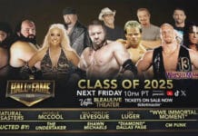 List Of This Year’s WWE Hall Of Fame Inductors Revealed