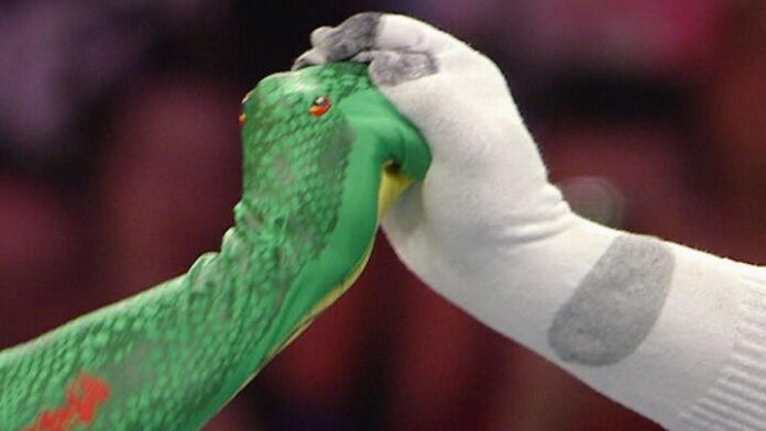 01-cobra-vs-mr-socko-santino-marella-vs-mick-foley-wwe