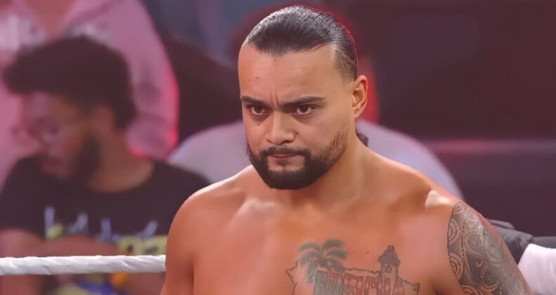 WWE Hall Of Famer Calls Mike Santana The Guy For TNA PWMania Mike Santana 791x420