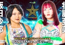 Stardom 5 Star Grand Prix Night 3