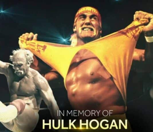 Hulk Hogan tribute on WWE RAW