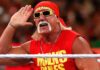 Hulk Hogan in WWE