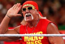 Hulk Hogan in WWE
