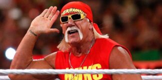 Hulk Hogan in WWE