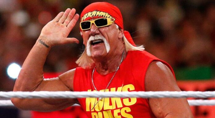 Hulk Hogan in WWE