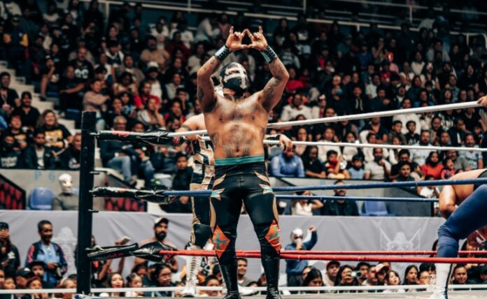 Wrestler Wrestler