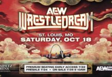 AEW WrestleDream 2025 poster