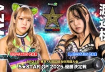 Stardom 5 Star Grand Prix Night 13