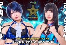 Stardom 5 Star Grand Prix Night 9