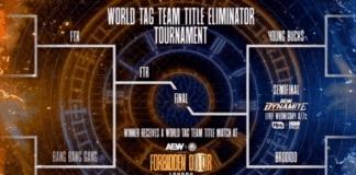 AEW World Tag Team Title Eliminator Tournament 2025