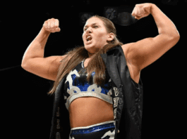 Bozilla Suffers Apparent Knee Injury During STARDOM New Year Stars Bozilla