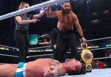 Seth Rollins cashes in MITB and defeats CM Punk for the World Title at WWE SummerSlam.