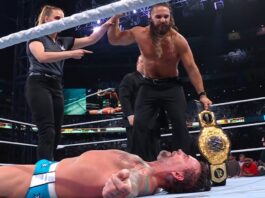 Seth Rollins cashes in MITB and defeats CM Punk for the World Title at WWE SummerSlam.