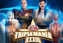 AAA Triplemania XXXIII